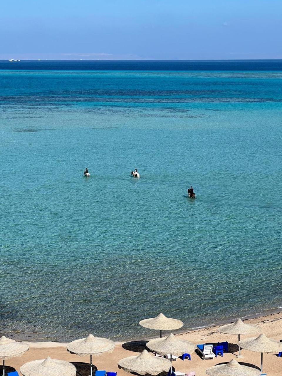 Willa Shams El Bahr *